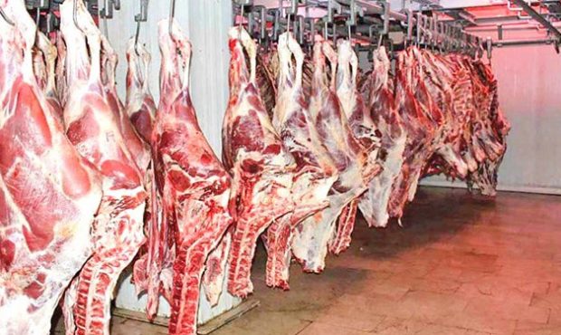 میزان ارز واردات گوشت قرمز اعلام شد