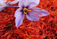 افزایش ۱۹۸ درصدی صادرات زعفران ایرانی به افغانستان