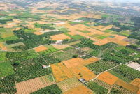 راهکارهای تامین مالی برای توسعه سیصد هزار هکتار از اراضی کشاورزی کشور